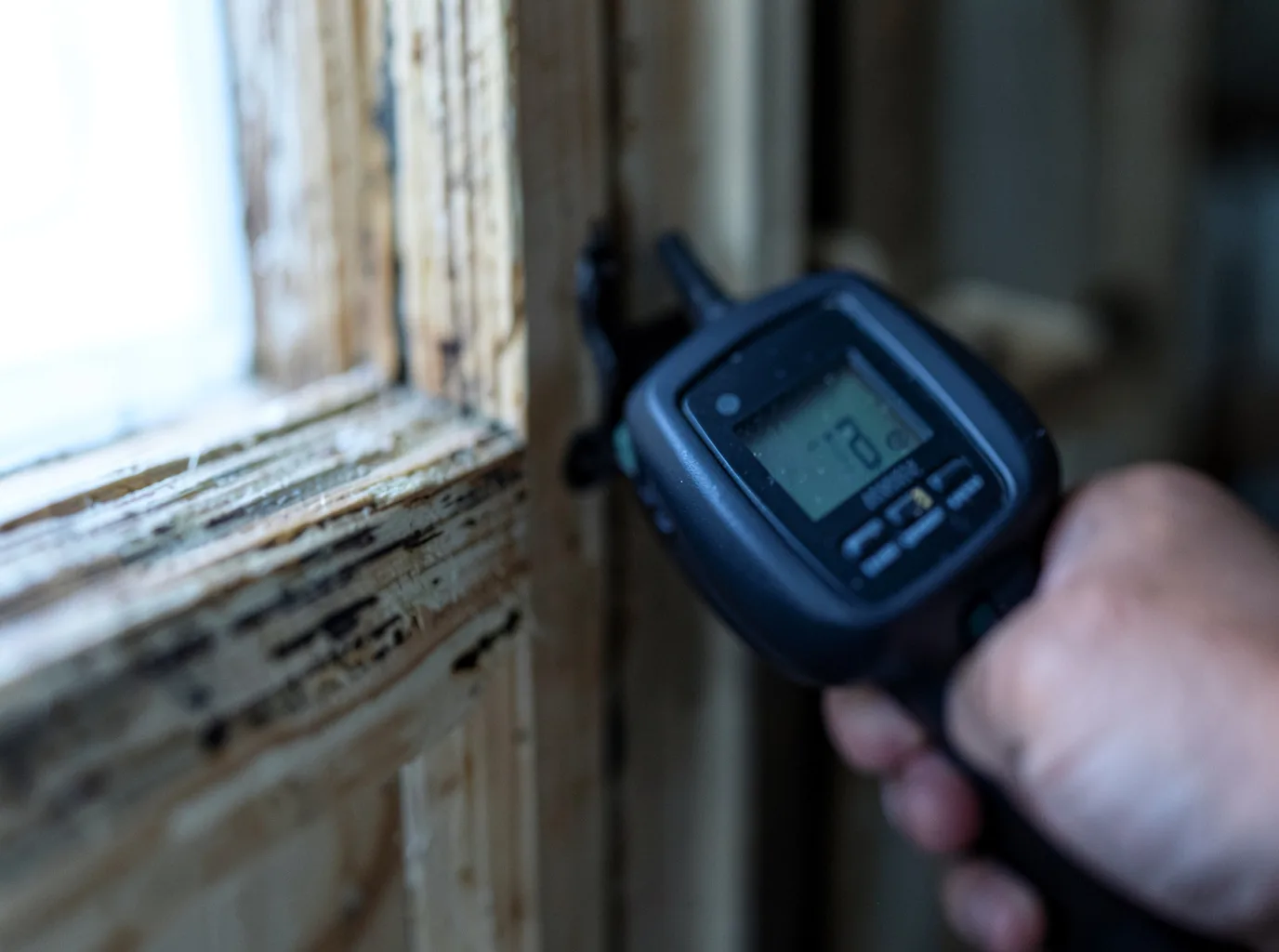 Moisture Inspection And Documentation in Southport, CT